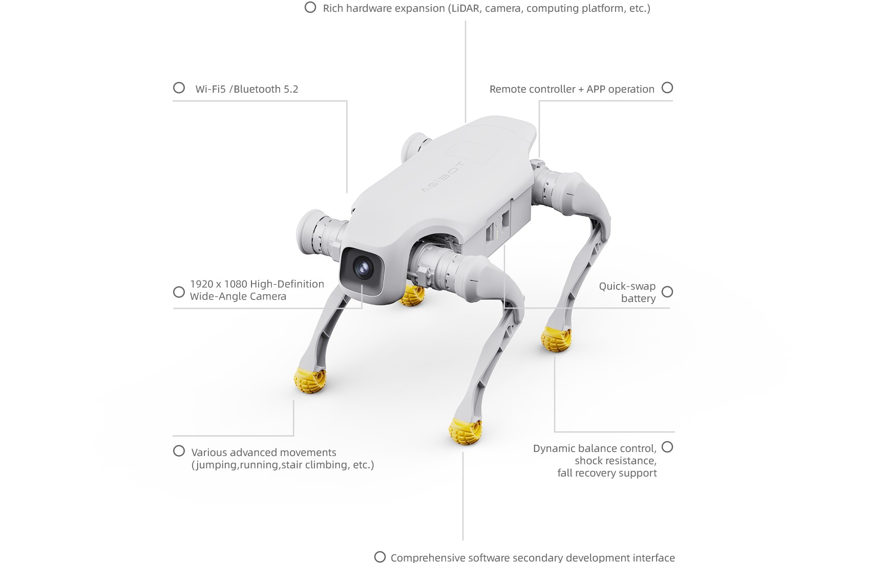 Vierbeiniger KI-Roboter für Forschung, Bildung und Entwicklung